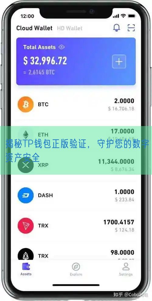 揭秘TP钱包正版验证，守护您的数字资产安全