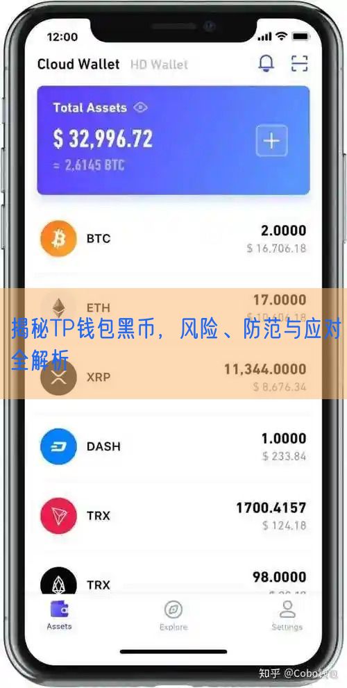 揭秘TP钱包黑币，风险、防范与应对全解析