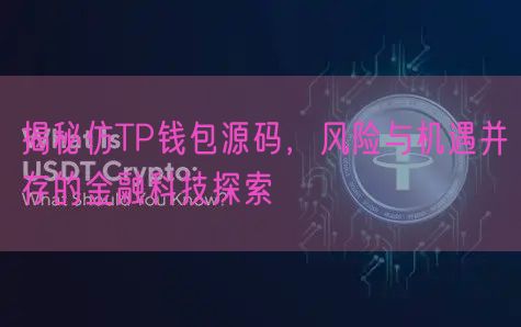 揭秘仿TP钱包源码，风险与机遇并存的金融科技探索