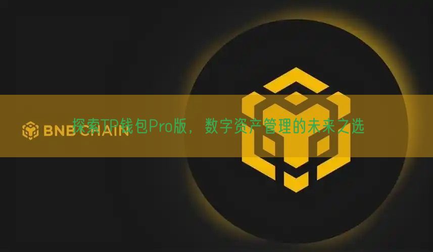 探索TP钱包Pro版，数字资产管理的未来之选