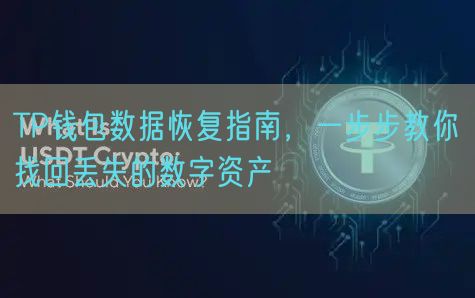 TP钱包数据恢复指南，一步步教你找回丢失的数字资产