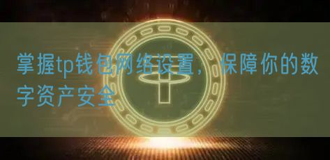 掌握tp钱包网络设置，保障你的数字资产安全