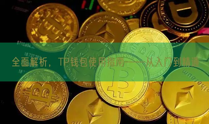 全面解析，TP钱包使用指南——从入门到精通