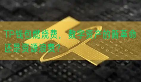 TP钱包燃烧费，数字资产的新革命还是资源浪费？