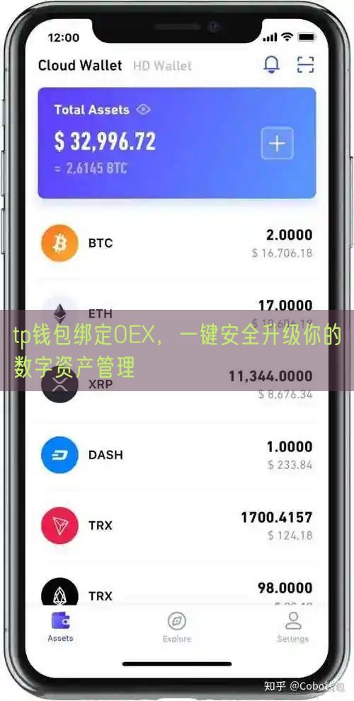 tp钱包绑定OEX，一键安全升级你的数字资产管理