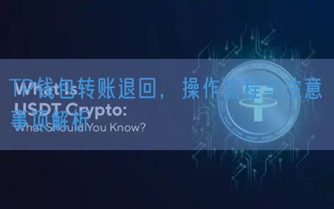 TP钱包转账退回，操作流程与注意事项解析