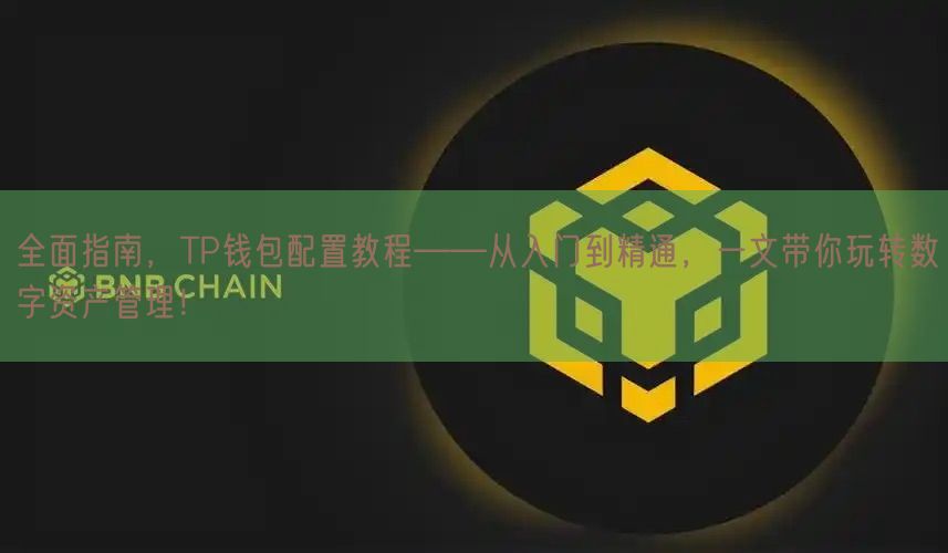 全面指南，TP钱包配置教程——从入门到精通，一文带你玩转数字资产管理！