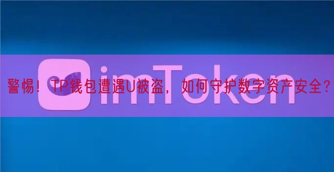 警惕！TP钱包遭遇U被盗，如何守护数字资产安全？