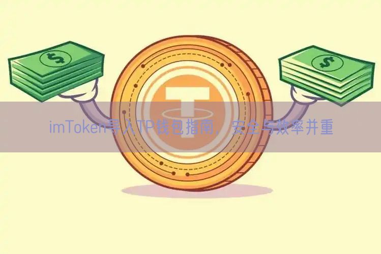 imToken导入TP钱包指南，安全与效率并重