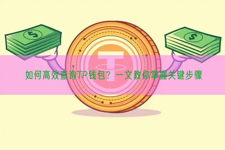 如何高效查询TP钱包？一文教你掌握关键步骤