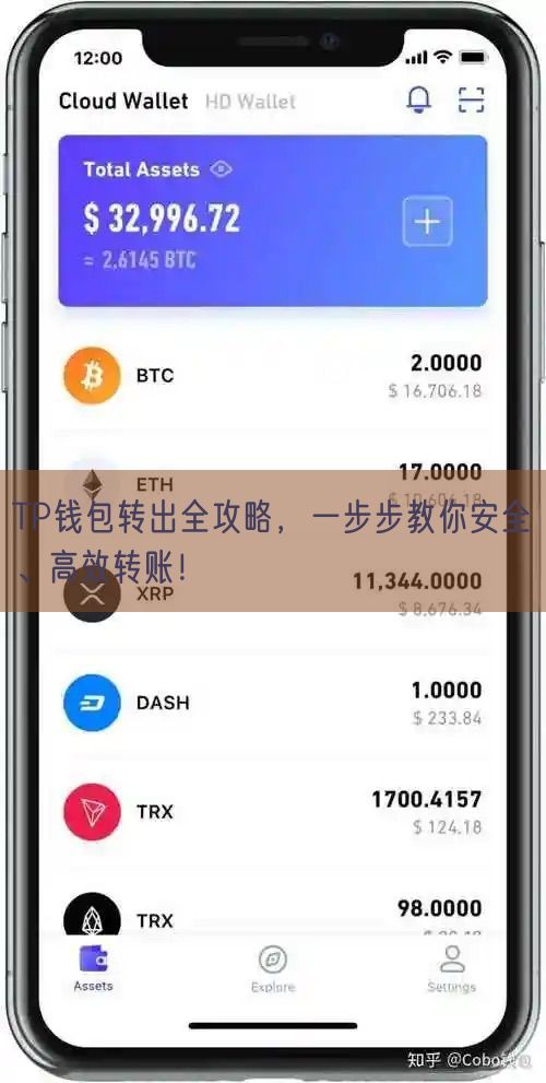 TP钱包转出全攻略，一步步教你安全、高效转账！
