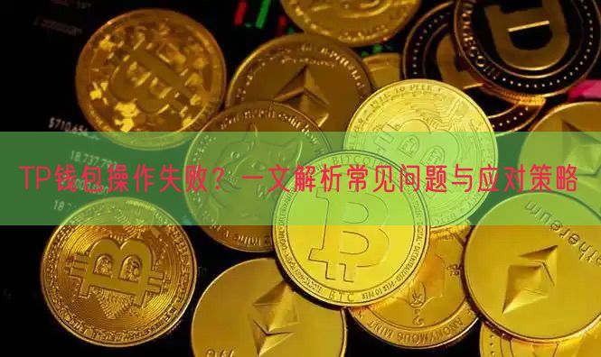 TP钱包操作失败？一文解析常见问题与应对策略