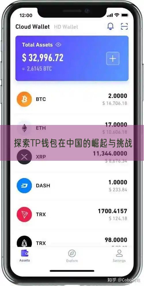 探索TP钱包在中国的崛起与挑战