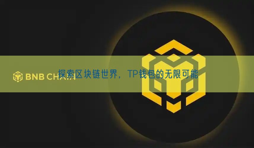 探索区块链世界，TP钱包的无限可能