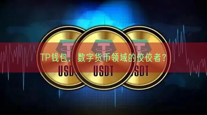 TP钱包，数字货币领域的佼佼者？