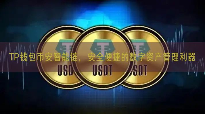 TP钱包币安智能链，安全便捷的数字资产管理利器